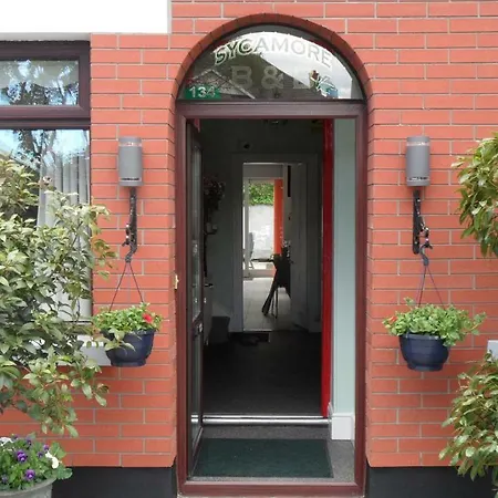 Sycamore House Dublin