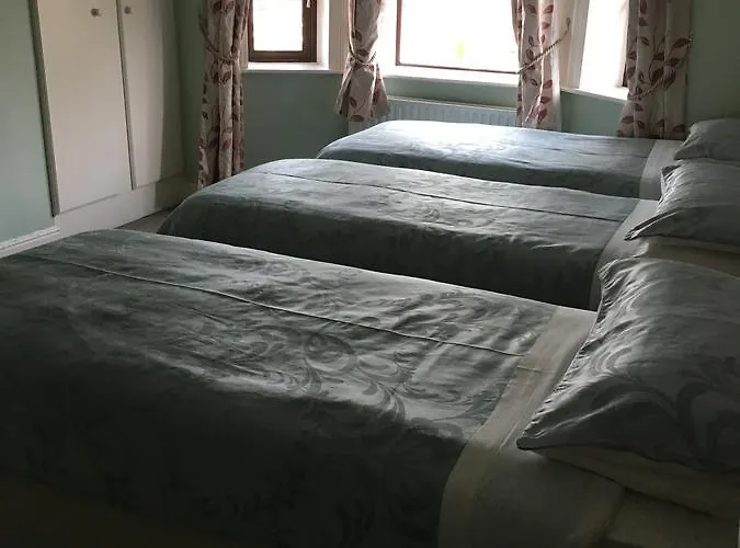 Sycamore House 4* דבלין