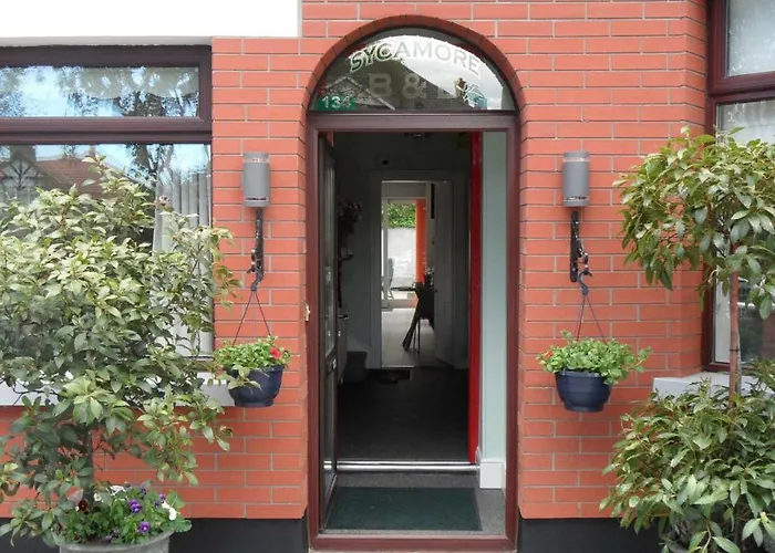 Sycamore House Dublin